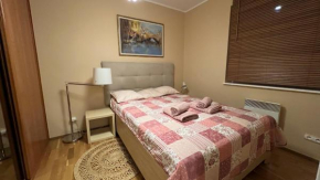 Apartament przy Parku Centralnym 2